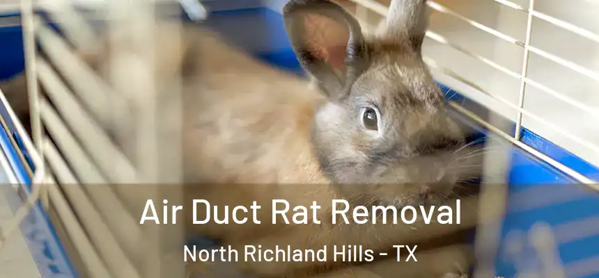 Air Duct Rat Removal North Richland Hills - TX