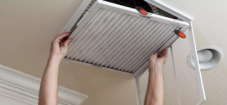 Our Insect Removal from Air Ducts Services in North Richland Hills, TX