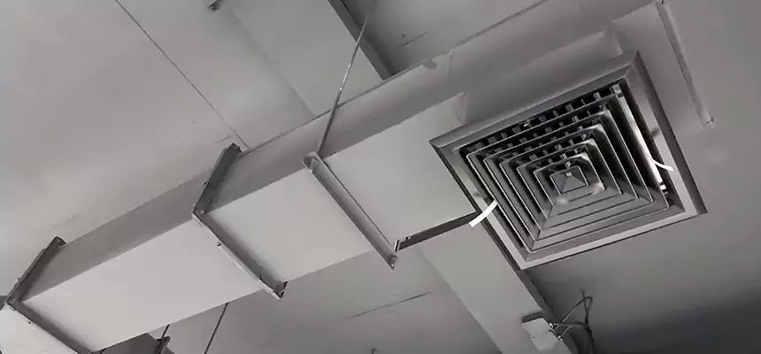 Our Rodent Droppings In Vents Services in North Richland Hills, TX