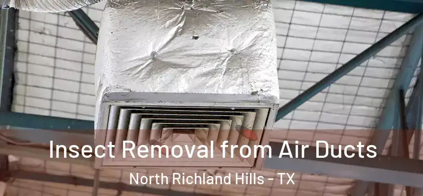  Insect Removal from Air Ducts North Richland Hills - TX