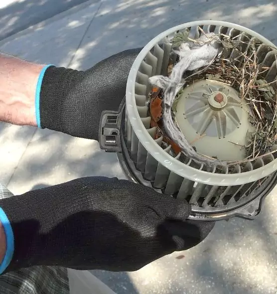 About Air Duct Mice Removal in North Richland Hills, TX